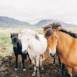 CCT1在线直播高清同步观看平台 37zhd6t12