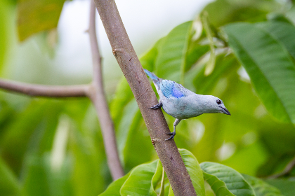英皇娱乐平台：探索多样化的在线娱乐体验与游戏选择