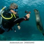 CBA辽宁本钢队与四川金强队焦点对决直播 jokffmz6mi