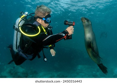 CBA辽宁本钢队与四川金强队焦点对决直播