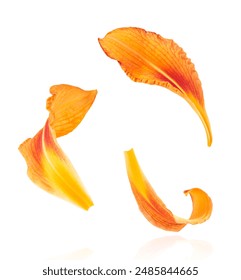 花花公子娱乐的影响力：如何塑造现代社交文化