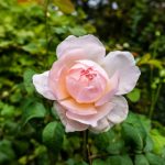 英博如何应对市场挑战,实现可持续发展目标 vg0t40kf