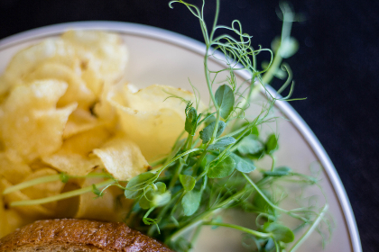 《好声音3》震撼直播现场,导师抢人大战一触即发 《好声音3》震撼直播现场,导师抢人大战一触即发