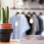 《奔跑吧》特别直播现场全程高能互动 s5hgp